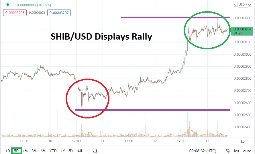 Análisis Técnico del SHIB/USD Análisis Técnico del SHIB/USD